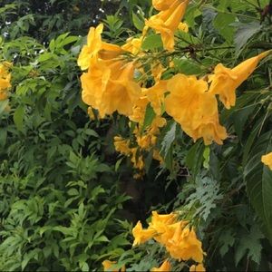 Meet your Posher, Mily